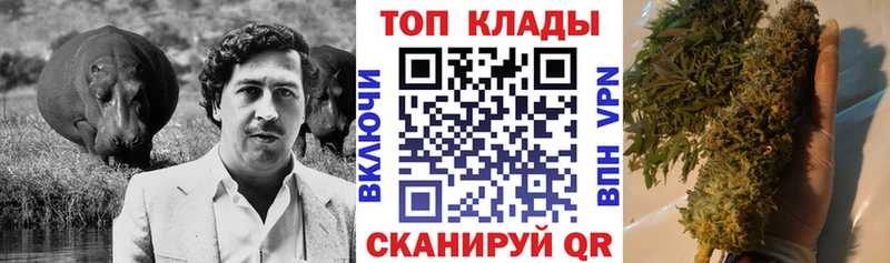 Где можно купить наркотики Ростов КОКАИН Гашиш СОЛЬ Амфетамин Конопля