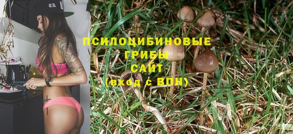 не бодяженный Верхний Тагил